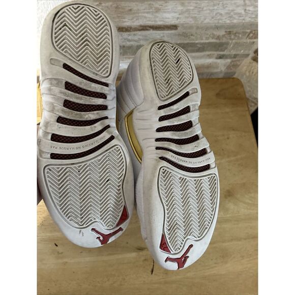 Nike Air Jordan 12 \